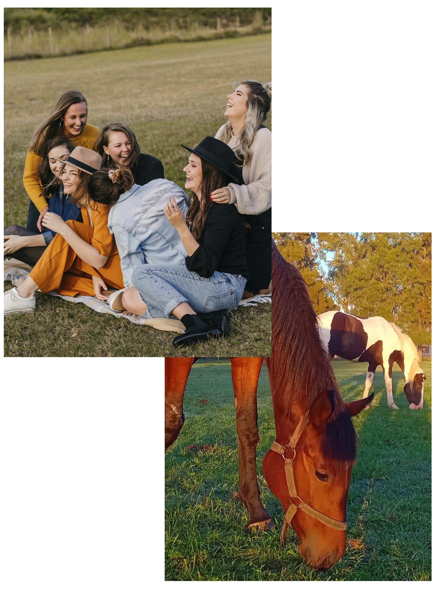 dia de campo
